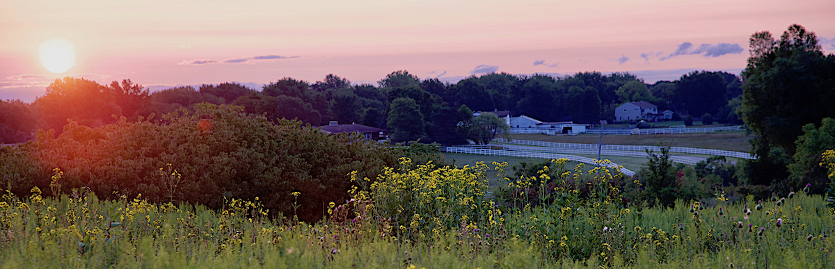 Sunrise at the Danada Forest Preserve Wheaton, IL