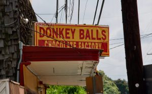 The Donkey Balls Factory Store
