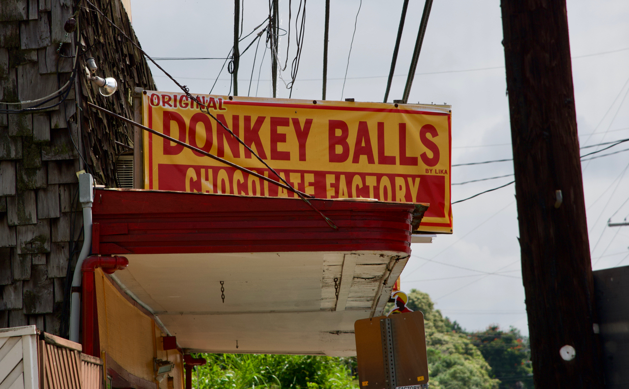 Get Your Donkey Balls Here! Mostly Entertainment
