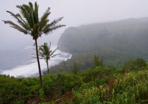 A misty Pololu Valley Lookout