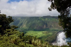 Picture of Waipi'o Valley Lookout