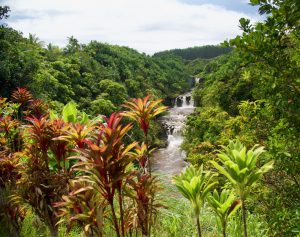 Umauma Falls