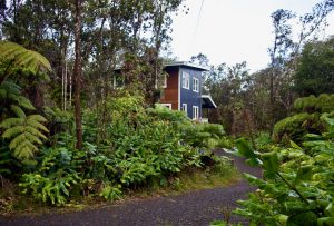 The treehouse loft in Volcano.