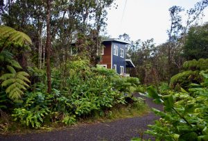 The treehouse loft in Volcano.