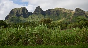 Kauai scenery.