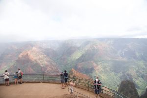 Picture at the Waimea Canyon lookout.