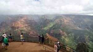 Picture at Waimea Canyon lookout.