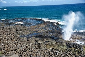 Spouting Horn in Kawai.