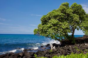 The beauty of Hawaii