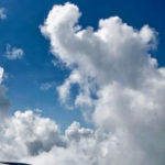 Elephant Cloud in the Sky