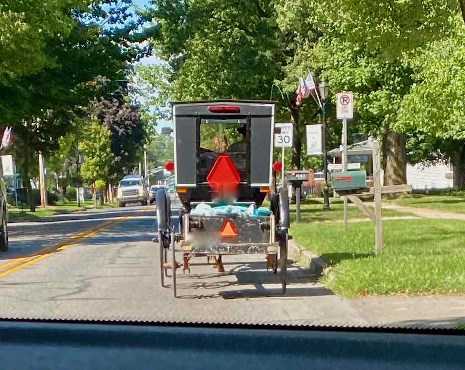 Picture of Amish horse and buggy.