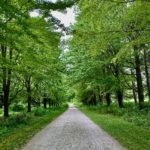 Trail at St. James Farm